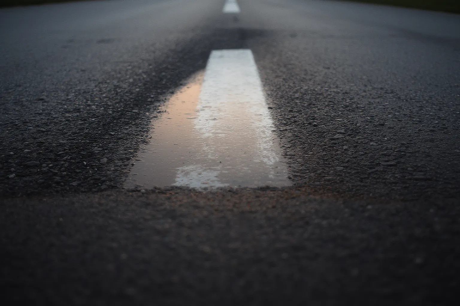 Wet asphalt with a dashed white lane marking reflecting warm dusk light